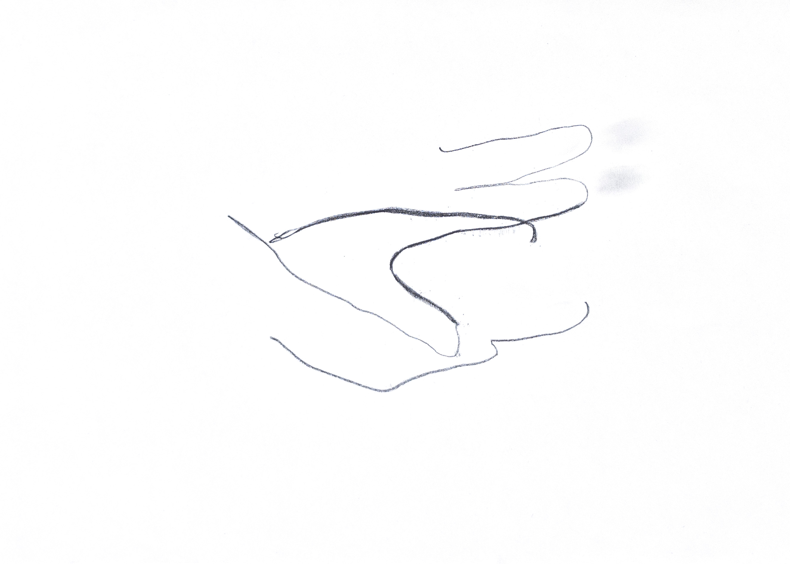outlined drawing of a hand